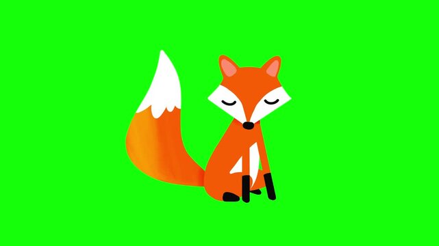 4K motion graphics animation of fox moving the tail on chroma key green screen background.