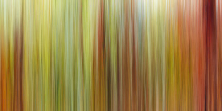 abstract vertical motion blur autumn forest texture warm earthy tones dynamic speed effect nature background for web design and wellness branding
