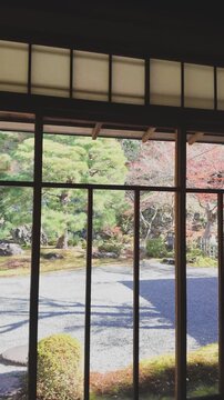 京都の八坂の塔を見渡す