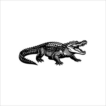 Black and white alligator illustration, detailed reptile graphic for design projects.