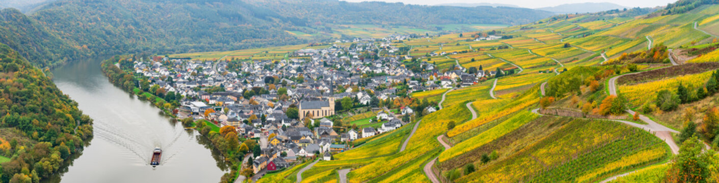 Beautiful autumn view of vineyards at the top of Krov village in Moselle river region in Germany. Europe