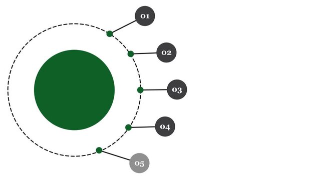 Animated infographic design of 5 steps. 5 points. Each step is represented with smooth animation, minimal icons, and bold text areas, making it perfect for explaining workflows or business strategies.
