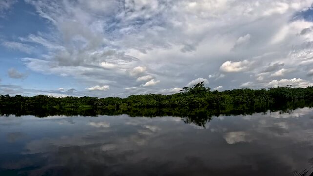 Panoramic Flooded Amazon Rainforest Lagoon in Ecuador with Mirror Reflections, Cloudy Sky, Dense Green Forest Banks and Remote Tropical Wetland Wilderness Scene