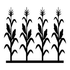 Fototapeta premium Four Corn Plants Growing Together In Simple Black Illustration Style