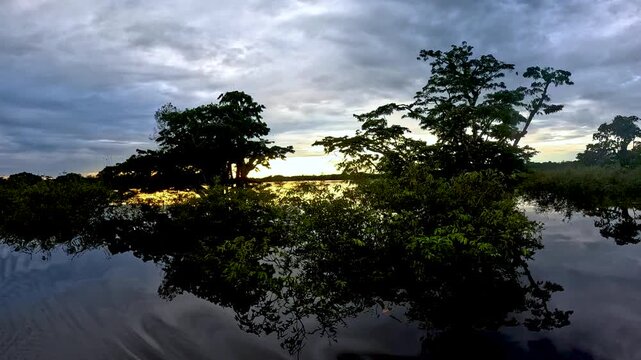 Sunset Over Flooded Amazon Rainforest in Ecuador with Silhouetted Trees, Calm Water Reflections, Golden Sky and Remote Tropical Wetland Landscape