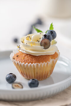 Cupcake with white frosting and fresh blueberries on a plate
