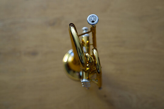 background, bb, brass, brass instrument, close-up, closeup, cornet, gold colored, golden, instrument, metal, music, reflection, saloon table, shiny, silver colored, wood, wooden, mouthpiece, object, m