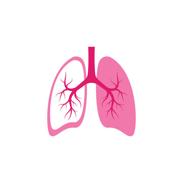 Human lungs logo icon symbol silhouette illustration design. lung logo simple icon