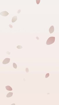 Falling pastel petals on soft gradient background. 2d animation