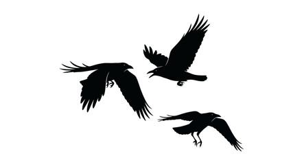 Naklejka premium Black raven silhouettes in flight, flying crow bird vector set, dark corvid animal shapes on white background