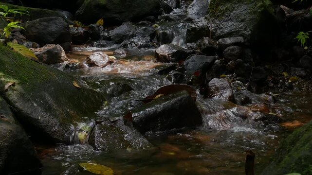 Closeup seamless loop of clear stream water flowing over rocks in a mountain forest. Ideal for meditation loops, calming overlays, and ambient nature backgrounds.