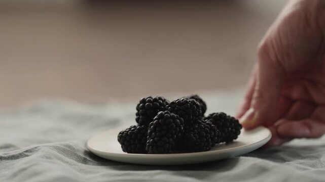 Slow motion man hand put fresh ripe blackberry on a white saucer
