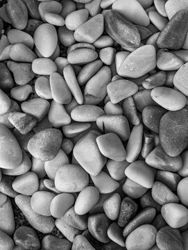 A monochrome close-up photo shows smooth pebbles gathered together forming a textured stone surface natural rock background pattern.