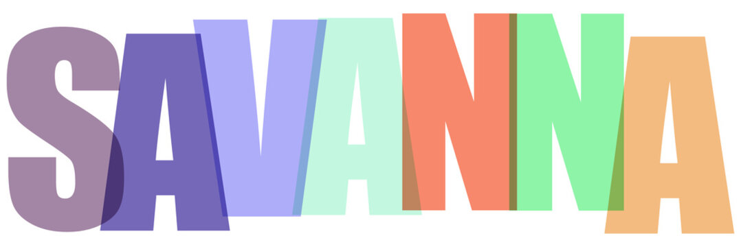 Colorful Savanna typography text design, semi-transparent pastel block letters graphic, modern colorful typographic word art on white background