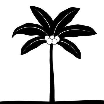Palm tree vector icon illustration with coconuts and ground line for summer vacation and tropical travel