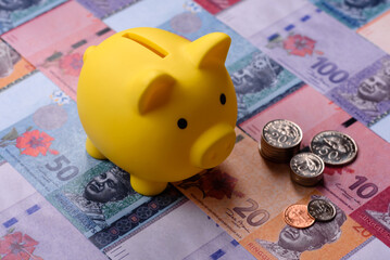 A piggy bank as a concept for storing, accumulating, and saving financial resources. A piggy bank © chernikovatv