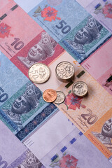 Malaysian ringgit banknotes as a tool for trade and financial transactions. The Malaysian ringgit © chernikovatv