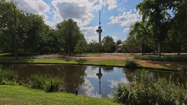Erasmus Bridge and Euromast View Framed by City Park