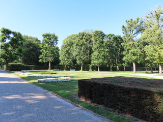 Fototapeta premium path in the park