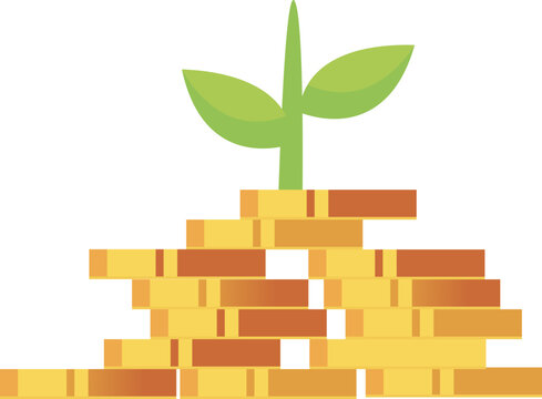 green tree on a stack of moneys