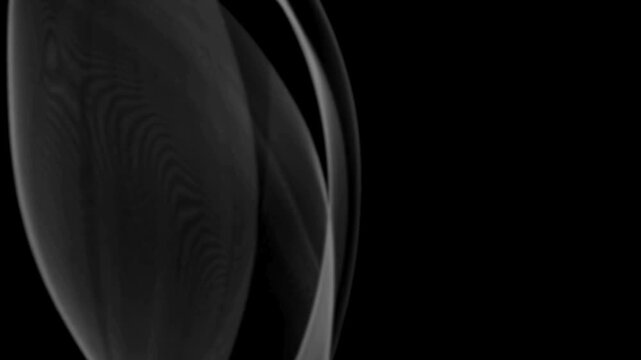 Abstract flowing white waves animation elegant motion background smooth liquid curves for digital project.