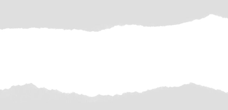 Torn paper edges create a black silhouette on a white background