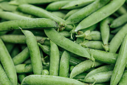 Close-up of freshly harvested green pea pods piled together, showing natural texture, stems, and vibrant green color