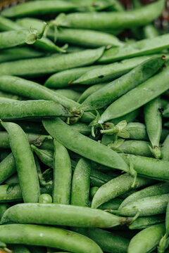 Close-up of freshly harvested green pea pods piled together, showing natural texture, stems, and vibrant green color