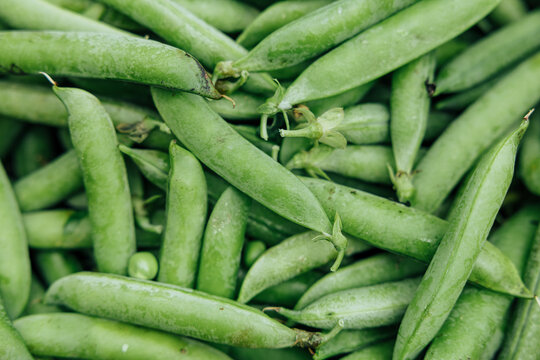 Close-up of freshly harvested green pea pods piled together, showing natural texture, stems, and vibrant green color
