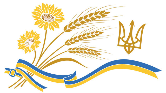 Ukrainian independence day vector illustration with sunflowers golden wheat ears trident emblem and flag ribbon