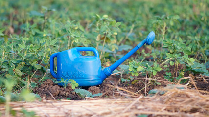  A blue plastic watering can © Tri