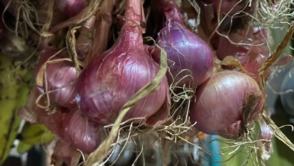 Harvested Purple Onion Bulbs Hanging in a Traditional Kitchen © Tos pro