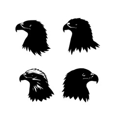 Fototapeta premium Eagle heads set with high-contrast black and white line art featuring sharp eyes, intricate feathers, detailed expressions with bold lines and depth