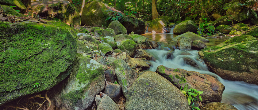 Mossy rocks and flowing water in a tropical forest at Bukit Telaga Waterfall