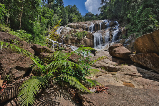 Refreshing jungle waterfall landscape with wild ferns in the foreground at Sungai Pandan, Kuantan