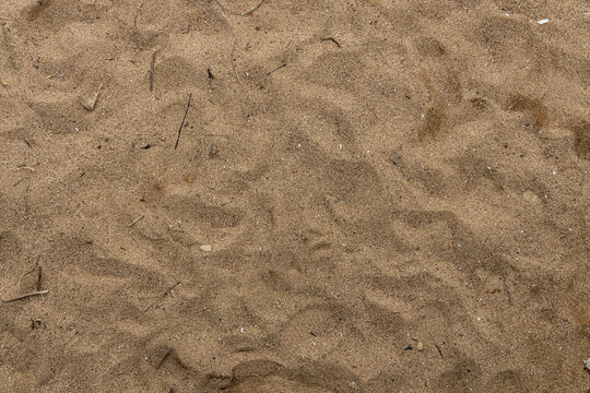 Footprints and patterns on sandy beach during daytime
