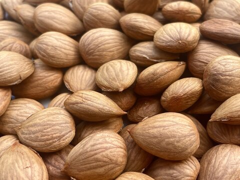 Detailed Close Up Background of Organic Brown Apricot Kernels and Seeds with Natural Textures