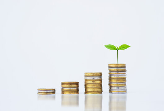 coin stack money saving concept. green leaf plant growth on rows of coin on white background. money matters tips to investment and business financial banking for Financial Wellness.money management.