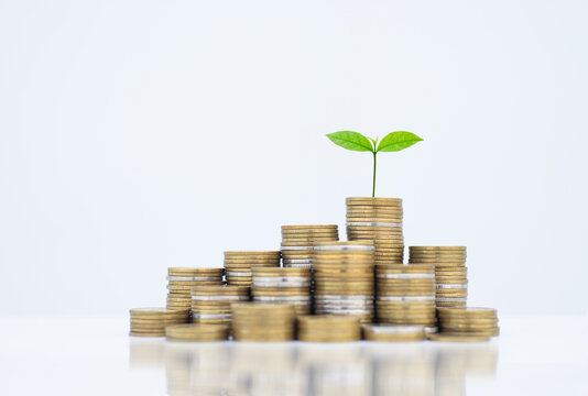 coin stack money saving concept. green leaf plant growth on rows of coin on white background. money matters tips to investment and business financial banking for Financial Wellness.money management.