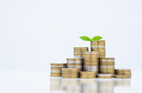 coin stack money saving concept. green leaf plant growth on rows of coin on white background. money matters tips to investment and business financial banking for Financial Wellness.money management.