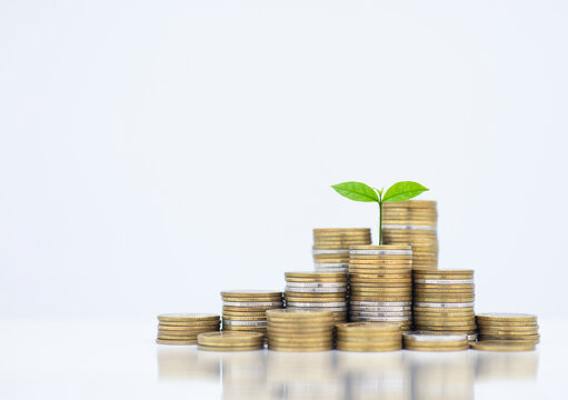 coin stack money saving concept. green leaf plant growth on rows of coin on white background. money matters tips to investment and business financial banking for Financial Wellness.money management.