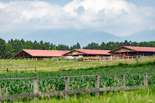 Rural Farm with Red Roof Barns and Mountain Backdrop under Cloudy Sky