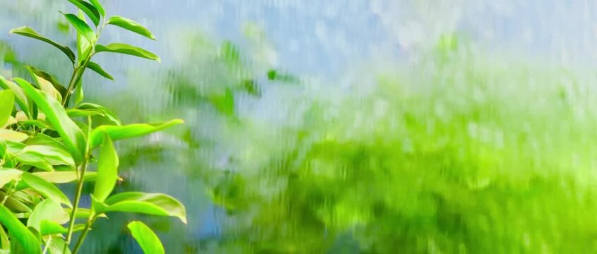 Lush green tree leaves frame the left foreground, set against a soft blurred background of rippling water reflecting vibrant natural light, creating a serene botanical copy space scene.