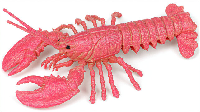 Pink textured plastic lobster toy on white background with crustacean figurine isolated