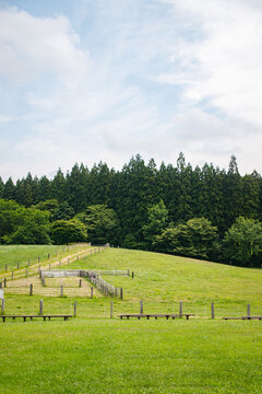 Green Pasture with Fenced Livestock Enclosure and Dense Pine Forest Background