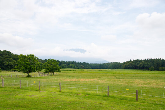 Lone Sheep Resting in a Vast Green Meadow Under Cloudy Skies and Mountain View
