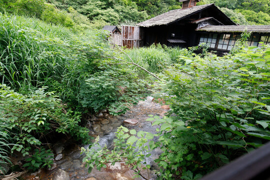 Traditional Japanese Wooden Onsen Inn Surrounded by Lush Green Forest