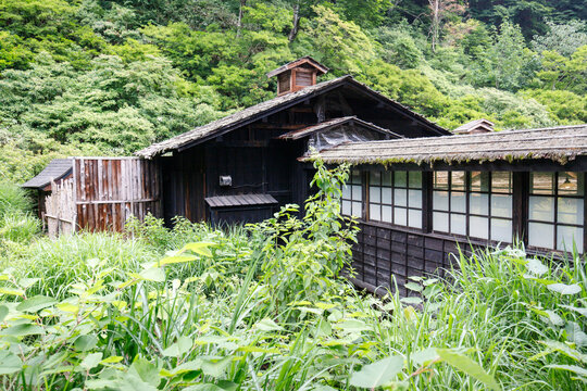 Traditional Japanese Wooden Onsen Inn Surrounded by Lush Green Forest