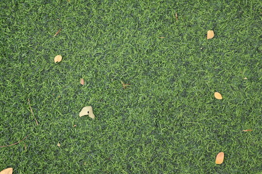 Vibrant synthetic green grass creates a lush, durable surface for outdoor landscaping.