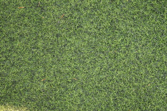 Vibrant synthetic green grass creates a lush, durable surface for outdoor landscaping.